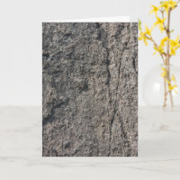 Rocky Rough Surface  