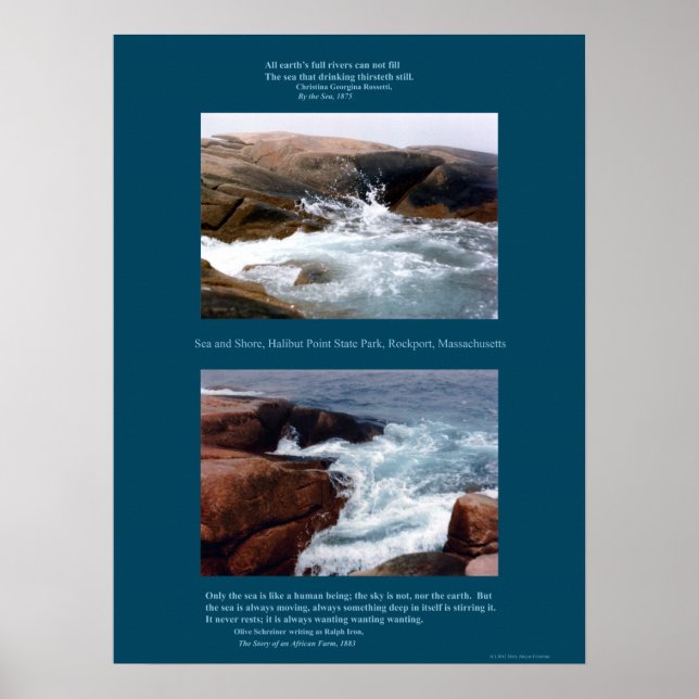 Rocky Shore Poster (Front)