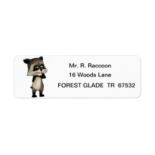 Rocky the Cute Cartoon Racoon
