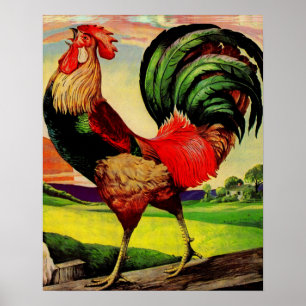 Rocky the Handsome Rooster Poster