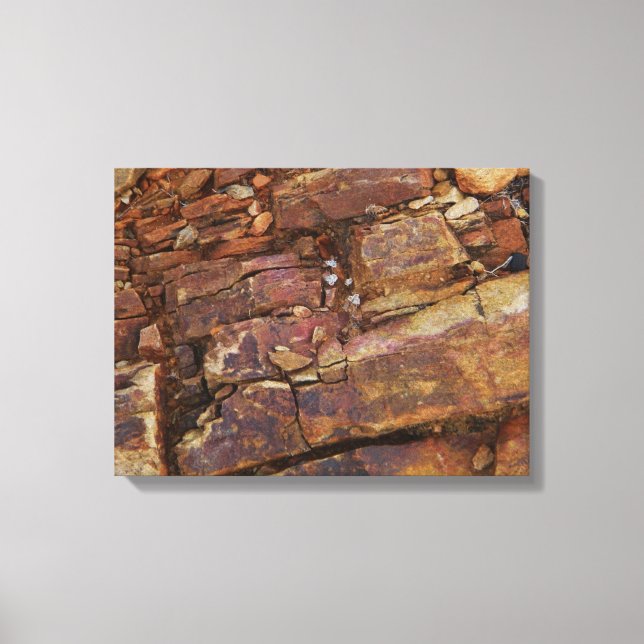 rocky view canvas print (Front)