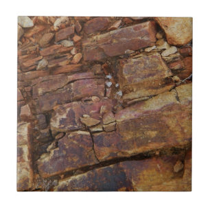 Rocky View Tile