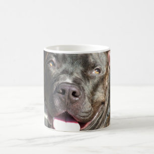 Rocky's Mug