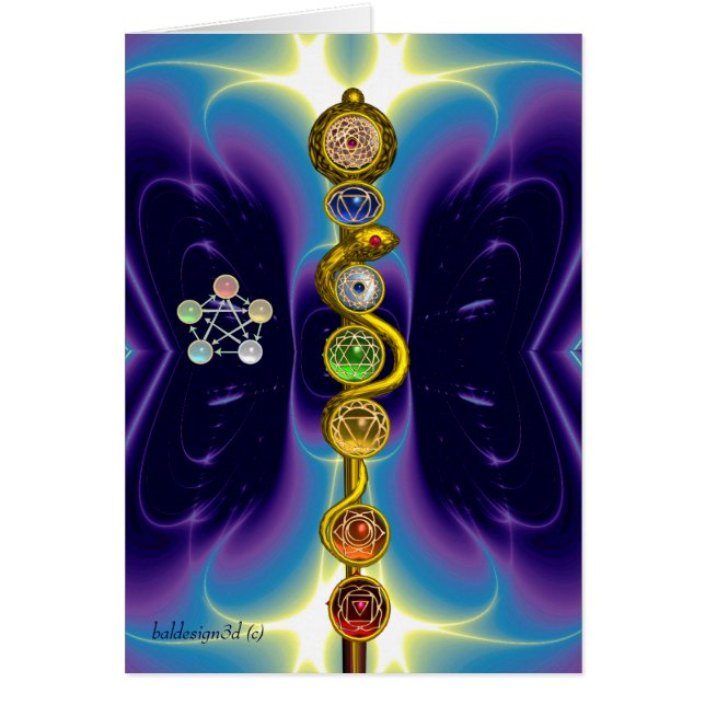 ROD OF ASCLEPIUS 7 CHAKRAS,YOGA ,SPIRITUAL ENERGY (Front)