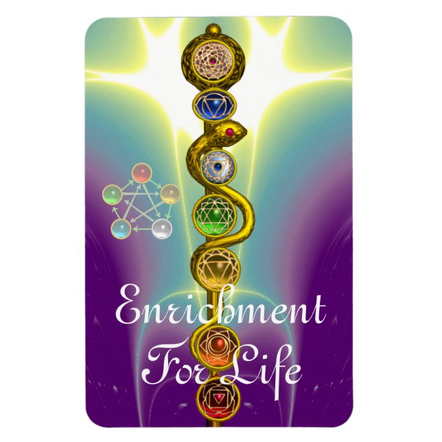 ROD OF ASCLEPIUS 7 CHAKRAS,YOGA ,SPIRITUAL ENERGY MAGNET (Vertical)