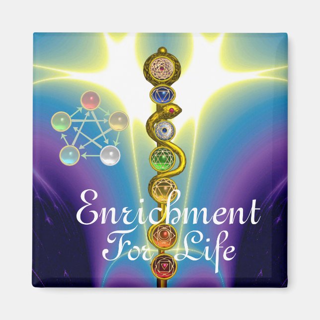 ROD OF ASCLEPIUS 7 CHAKRAS,YOGA ,SPIRITUAL ENERGY MAGNET (Front)