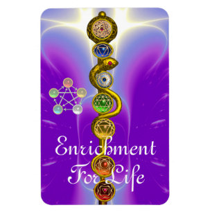 ROD OF ASCLEPIUS 7 CHAKRAS,YOGA ,SPIRITUAL ENERGY MAGNET