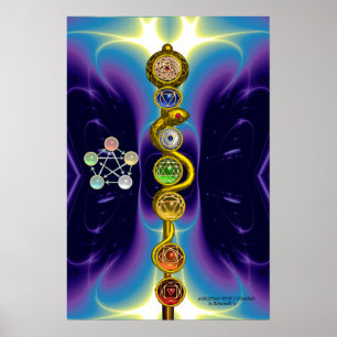 ROD OF ASCLEPIUS 7 CHAKRAS,YOGA ,SPIRITUAL ENERGY POSTER