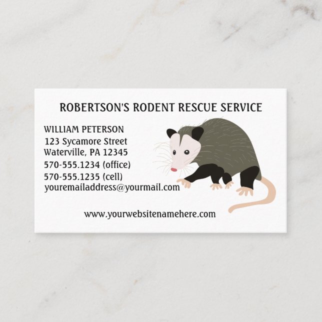 Rodent Removal Possum Illustration Business Card (Front)