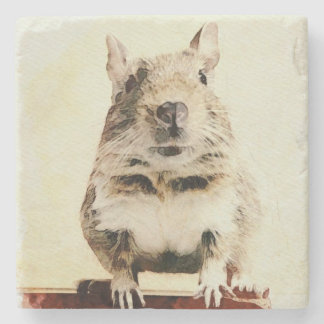 ⊿Rodent world⊿ Stone Coaster