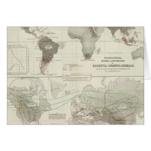 Rodentia, Ruminantia