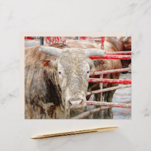 Rodeo Bull Rustic Country Western