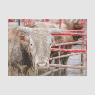 Rodeo Bull Rustic Country Western Tissue Paper