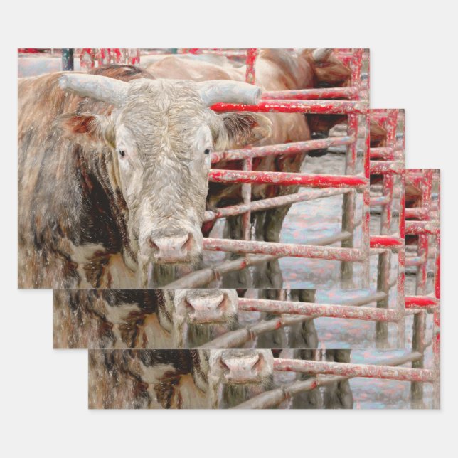 Rodeo Bull Rustic Country Western Wrapping Paper Sheet (Set)
