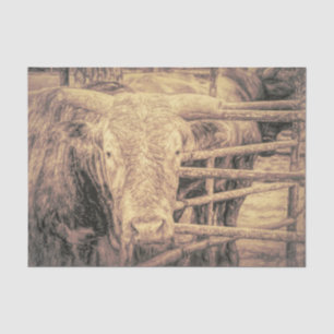 Rodeo Bull Rustic Vintage Antique Country Western Tissue Paper