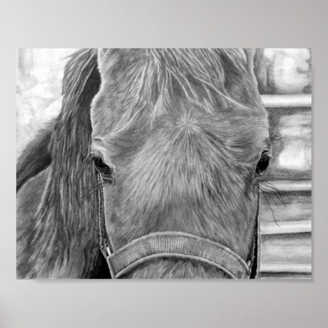 Rodeo image poster (Front)