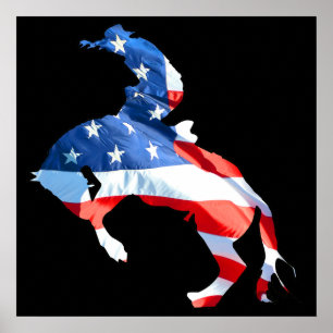 Rodeo is America - Bronco Riding Poster