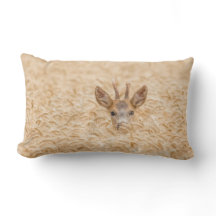 Roe Buck in Golden Wheat Wildlife