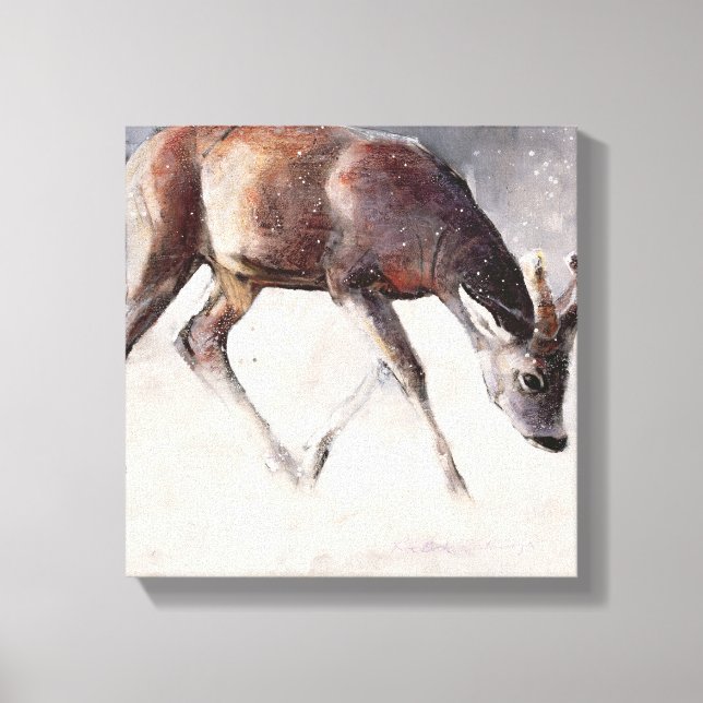 Roe Buck Winter 2000 Canvas Print (Front)