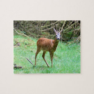 Roe Deer Buck Posing Woodland Wildlife Nature Jigsaw Puzzle