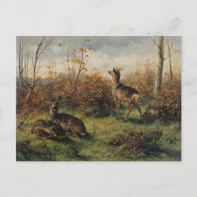 Roe Deer by Rosa Bonheur Postcard (Front)