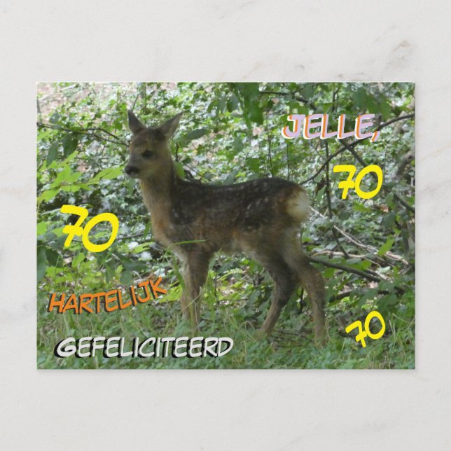 Roe Deer in Forest Cust. 70th Birthday Postcard (Front)