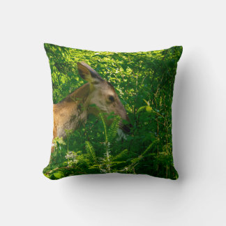 Roe deer in the forest. cushion