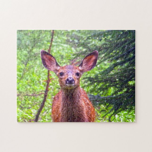 Roe Deer Montana. Jigsaw Puzzle (Horizontal)
