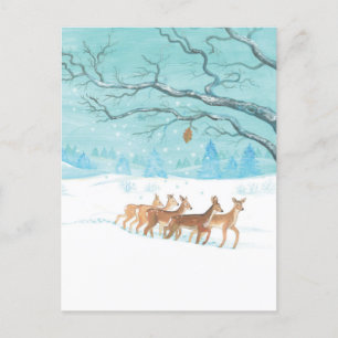Roe Deer Winter Postcard