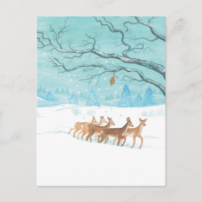 Roe Deer Winter Postcard (Front)