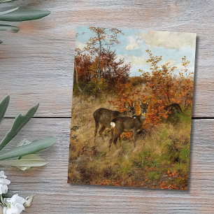 Roe Deer with Autumn Leaves Vintage Wildlife  Postcard