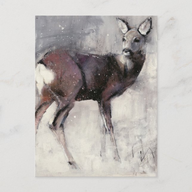 Roe Doe 2000 Postcard (Front)