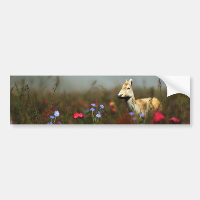 Roe in a Meadow Bumper Sticker (Front)