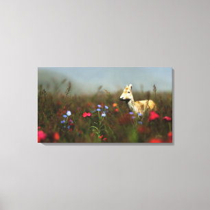 Roe in a Meadow Canvas Print