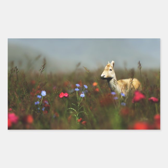 Roe in a Meadow Stickers (Front)