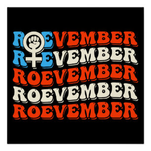 Roevember November 24 Election Poster
