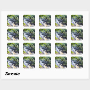 Rogie Falls, Scotland Square Sticker
