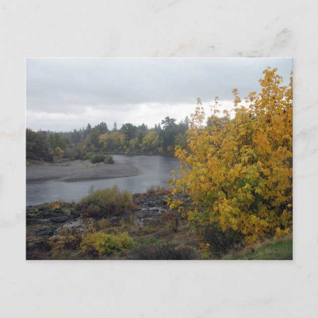 Rogue River, Grants Pass. Or. Postcard (Front)