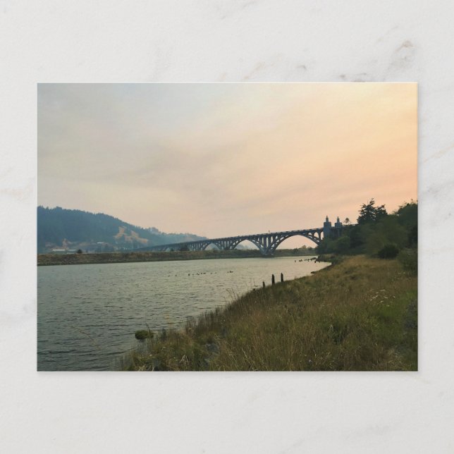 Rogue River, OR Postcard (Front)