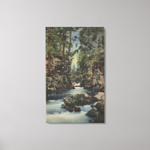 Rogue River, Oregon - Upper Gorge View of River Canvas Print