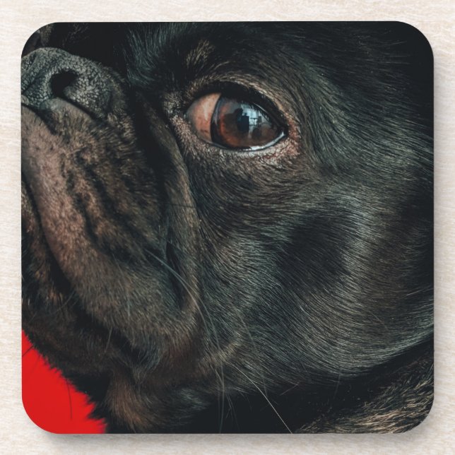 rojo dog coaster (Front)