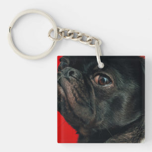 rojo dog key ring