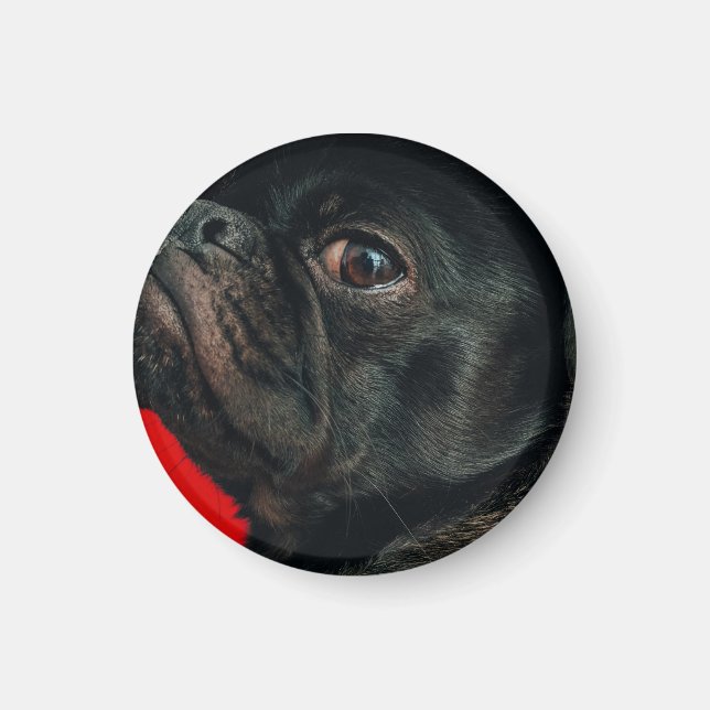 rojo dog magnet (Front)
