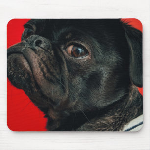 rojo dog mouse mat