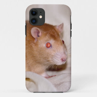 Rolando iPhone 5 Case