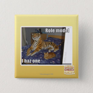 Role Model, I haz one 15 Cm Square Badge