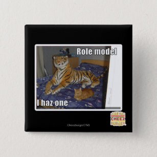 Role Model, I haz one 15 Cm Square Badge