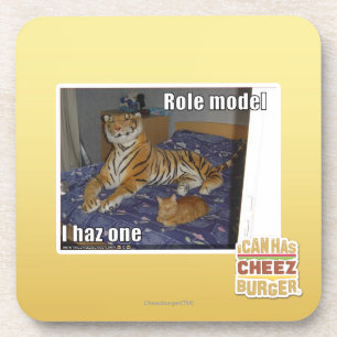 Role Model, I haz one Coaster