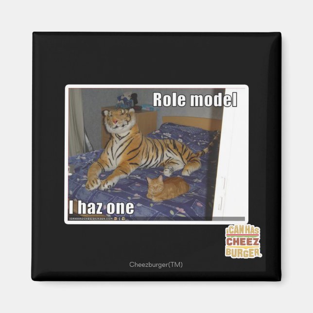 Role Model, I haz one Magnet (Front)