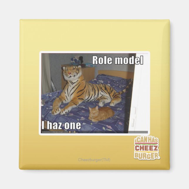 Role Model, I haz one Magnet (Front)